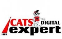 Cats Digital Woodlands Mall