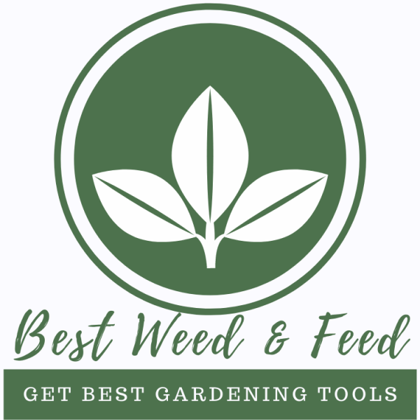 Best Weed and Feed